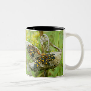 Milkweed Bug Families Mug