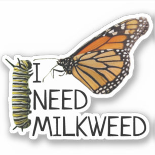 Milkweed For Monarch Butterflies