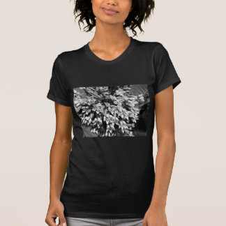Milkweed in Black and White T-Shirt