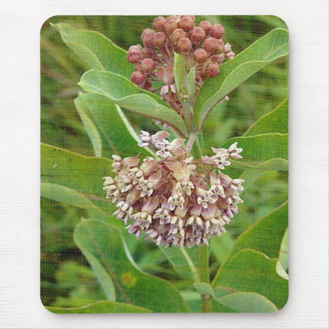 Milkweed is Pretty Mouse Pad (Front)