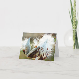 Milkweed Note Card: Full of Surprises Card