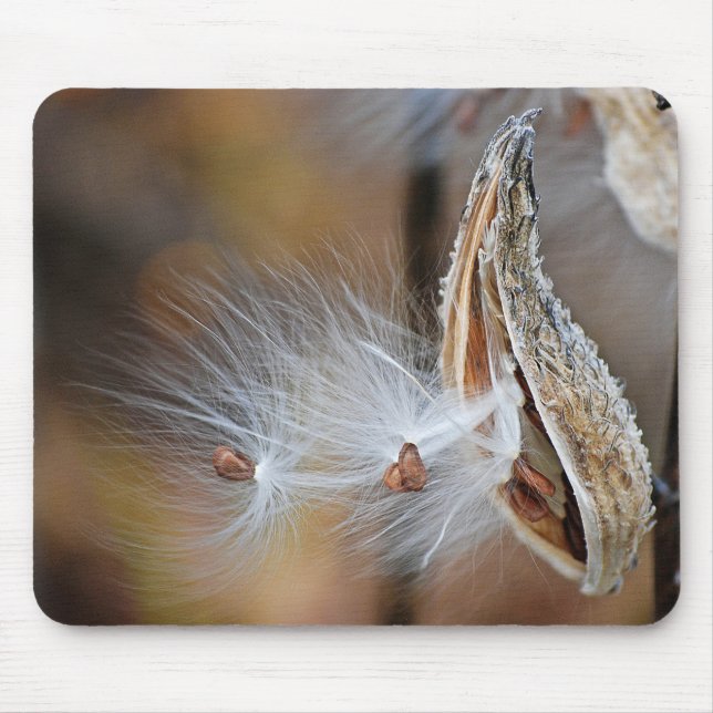 Milkweed Pod Macro Mouse Pad (Front)