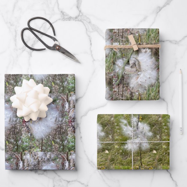 Milkweed Pods,  Seeds and Silk | Natural Wrapping Paper Sheet (Front)