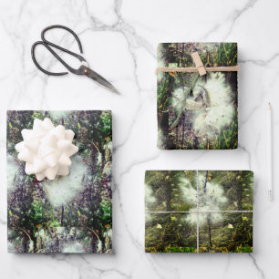 Milkweed Pods, Seeds and Silk   Recoleta   Wrapping Paper Sheet
