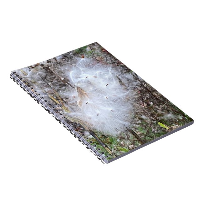 Milkweed Seeds and Silk Spiral Notebook (Right Side)
