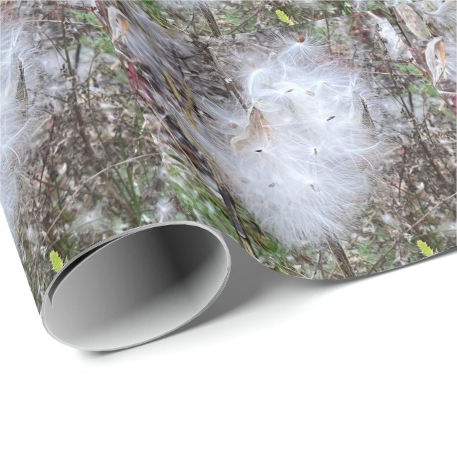 Milkweed Seeds and Silk Wrapping Paper (Roll Corner)