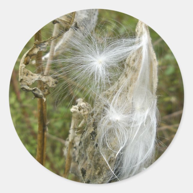Milkweed Seeds Coordinating Items Classic Round Sticker (Front)