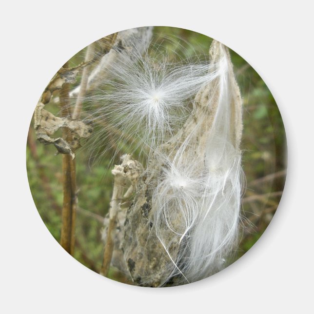 Milkweed Seeds Coordinating Items Magnet (Front)