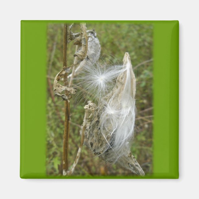 Milkweed Seeds Coordinating Items Magnet (Front)