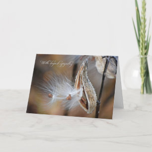 Milkweed Sympathy Card