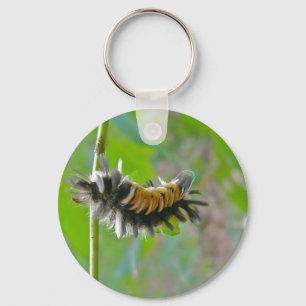 Milkweed Tussock Moth Caterpillar Items Key Ring