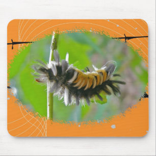 Milkweed Tussock Moth Caterpillar Orange Items Mouse Pad