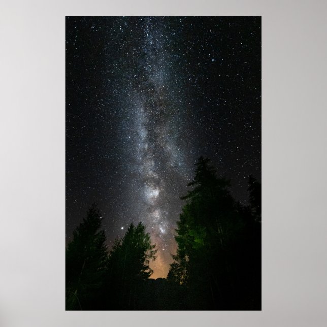 Milky way above spruce forest poster (Front)