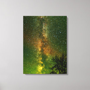 Milky Way & Aurora Borealis   Ontario Canada Canvas Print