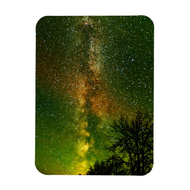 Milky Way & Aurora Borealis | Ontario Canada Magnet (Vertical)
