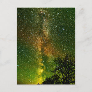 Milky Way & Aurora Borealis Ontario Canada Postcard