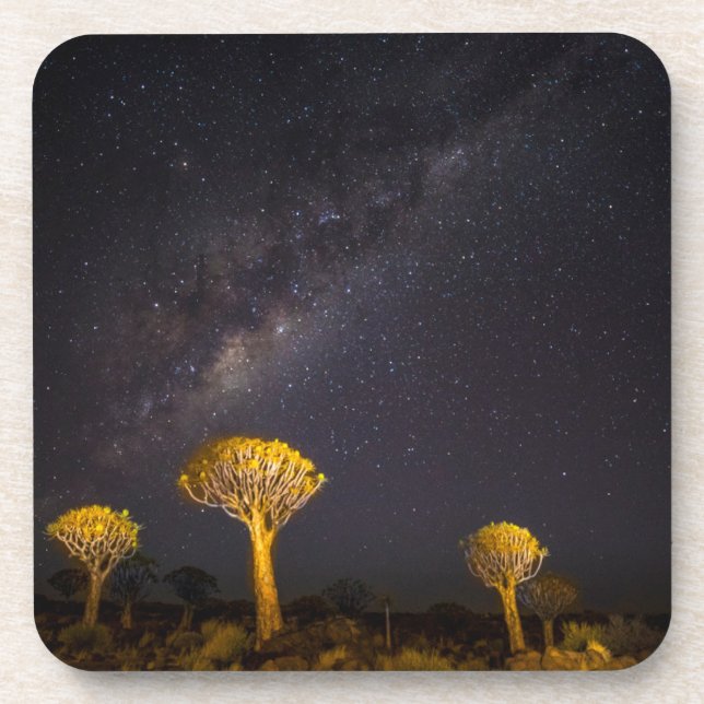 Milky Way Quiver Tree | Keetmanshoop Namibia Coaster (Front)