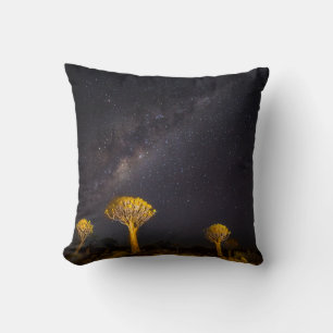 Milky Way Quiver Tree Keetmanshoop Namibia Cushion
