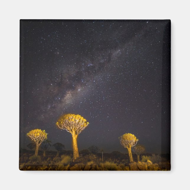 Milky Way Quiver Tree | Keetmanshoop Namibia Magnet (Front)