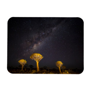 Milky Way Quiver Tree   Keetmanshoop Namibia Magnet