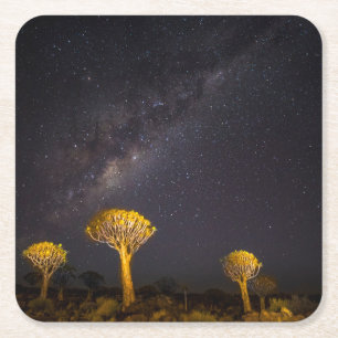 Milky Way Quiver Tree   Keetmanshoop Namibia Square Paper Coaster
