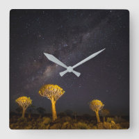 Milky Way Quiver Tree | Keetmanshoop Namibia