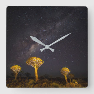 Milky Way Quiver Tree   Keetmanshoop Namibia Square Wall Clock