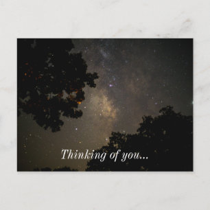 Milky Way Trees Postcard