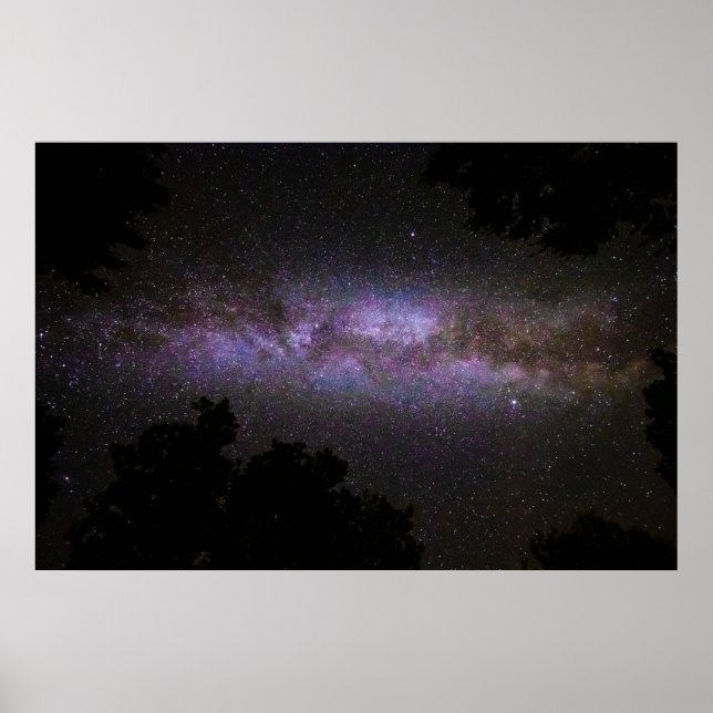 Milky way with trees silhouette poster (Front)