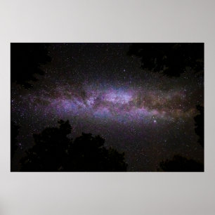 Milky way with trees silhouette poster