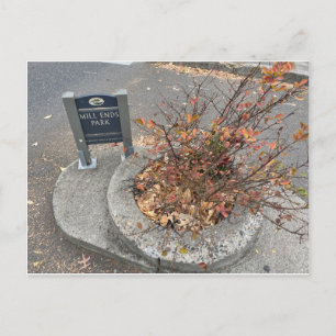 Mill Ends Park Postcard