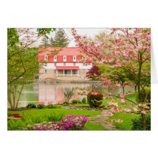 Mill in spring with pond