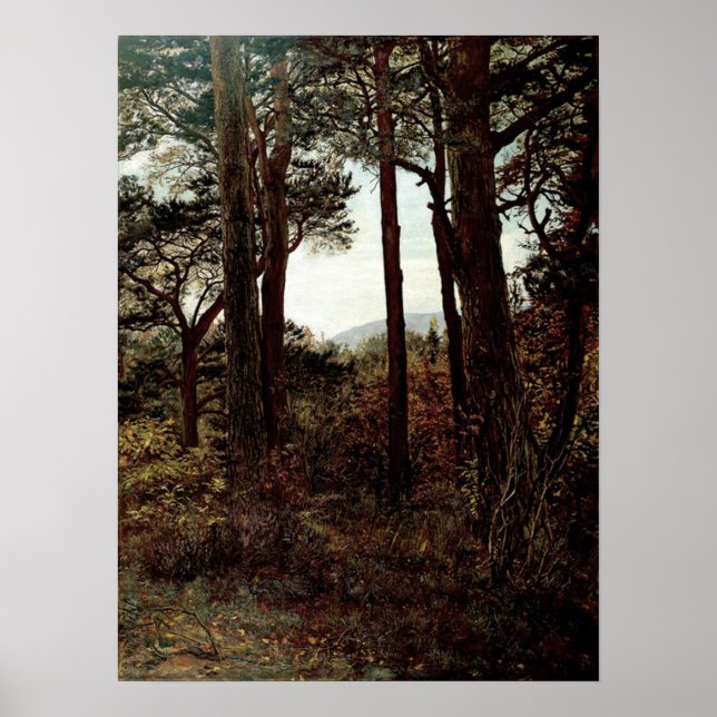 Millais - Scotch Firs 1873 Poster (Front)