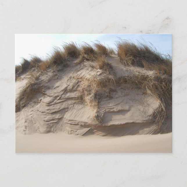 Miller Beach in Gary, Indiana Postcard (Front)