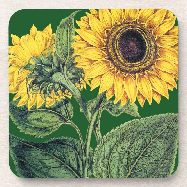 Miller: Sunflower Coaster (Front)