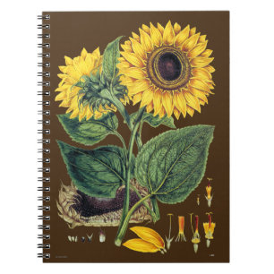 Miller: Sunflower Notebook