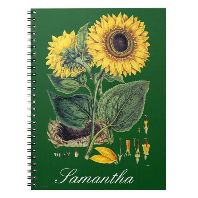 Miller: Sunflower Notebook (Front)