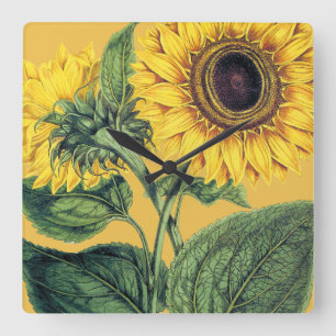 Miller: Sunflower Square Wall Clock