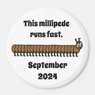 Millipede, brown magnet