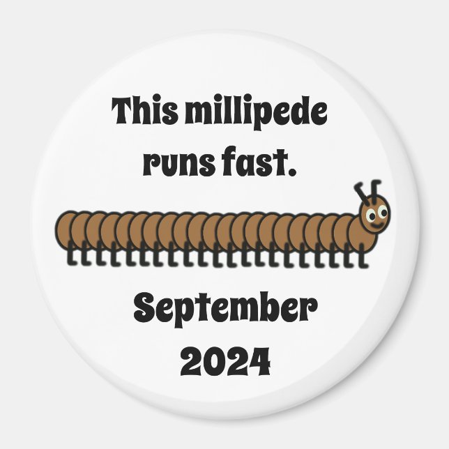 Millipede, brown magnet (Front)