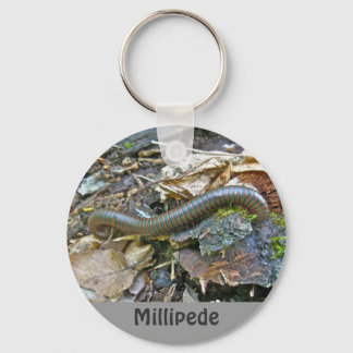Millipede Series Items Key Ring