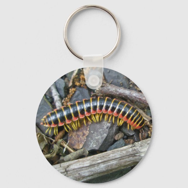 Millipede Series Items Key Ring (Front)
