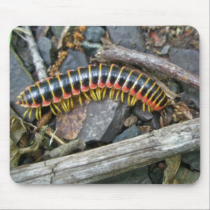 Millipede Series Items Mouse Pad