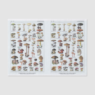Millot Illustrations, Mushrooms, Decoupage Tissue Paper