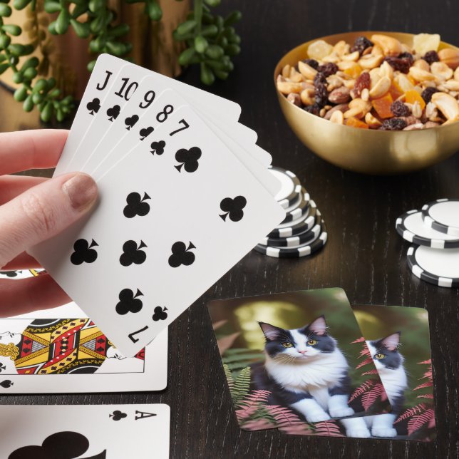 Milly The Ragdoll Cat, Deck Of Playing Cards (In Situ)