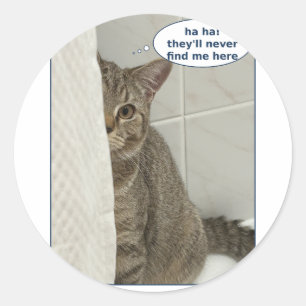Milo Is Preparing for a Big Ambush — Funny Tabby C Classic Round Sticker