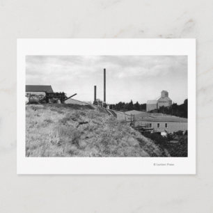 Milton, Oregon View of Town Elevator Photograph Postcard