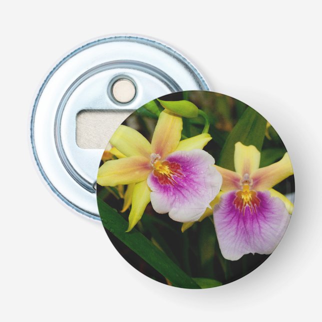 Miltonia Sunset Bottle Opener (Front)