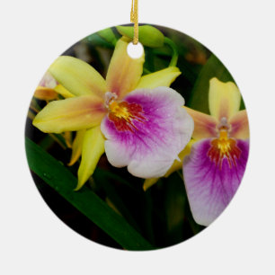 Miltonia Sunset Ceramic Ornament