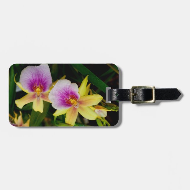 Miltonia Sunset Luggage Tag (Front Horizontal)